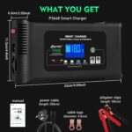 36V/48V Smartcharger für Balkonkraftwerk Akkus #Kellerladung – Bild 4